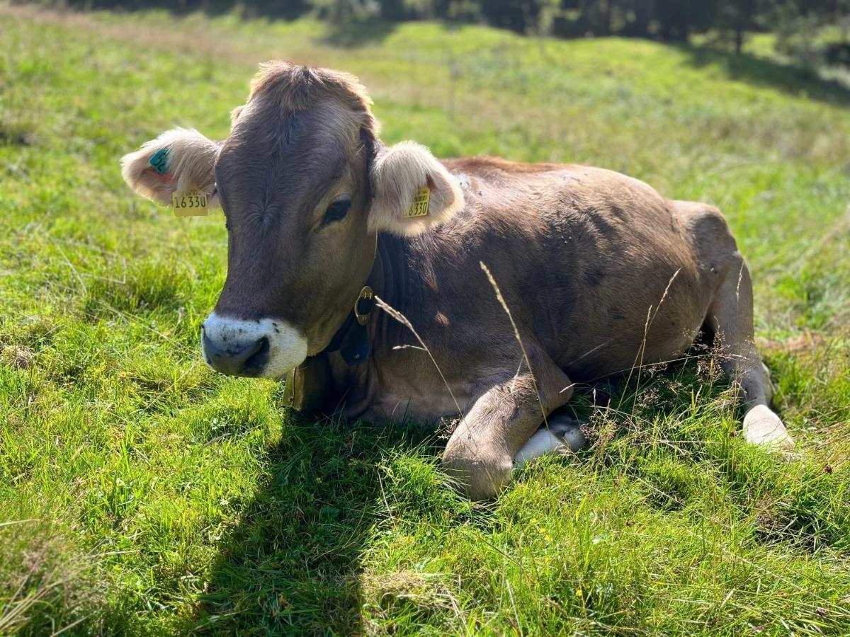 Ferienwohnungen Mama Elva Leutkirch im Allgau Luaran gambar